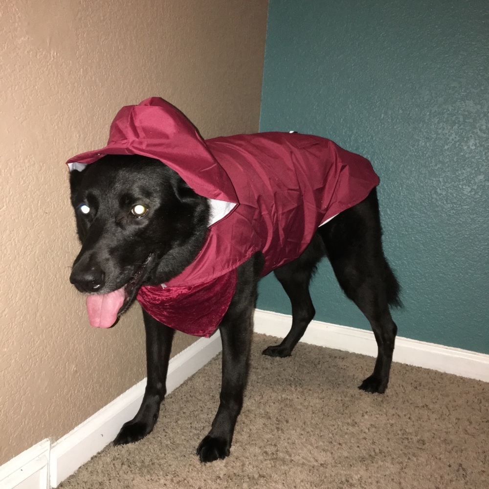 Large pink dog rain coat